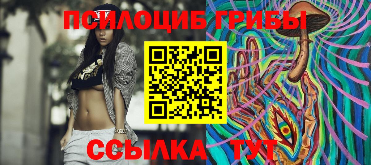 Кизляр  Псилоцибиновые грибы Psilocybine cubensis  Галлюциногенные грибы Psilocybine cubensis  Вход с VPN 